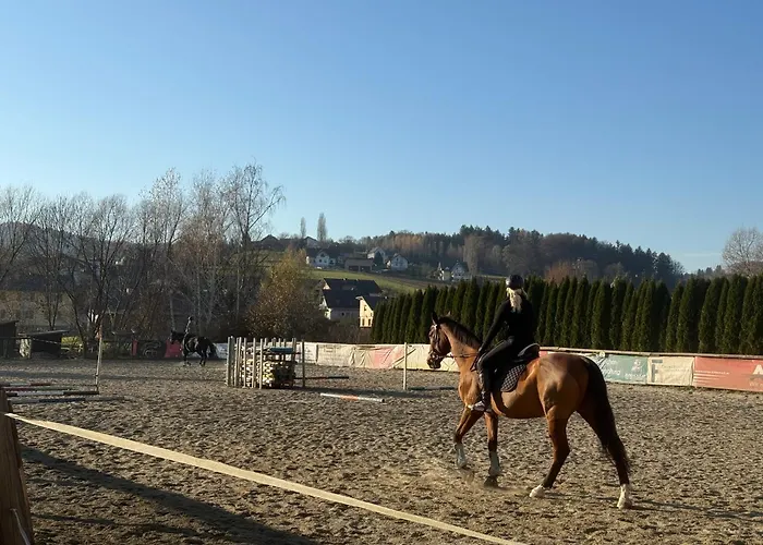 Natural Paradise Vakantiehuis *